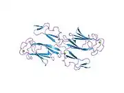 1szb: Crystal structure of the human MBL-associated protein 19 (MAp19)