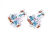 1tfx: COMPLEX OF THE SECOND KUNITZ DOMAIN OF TISSUE FACTOR PATHWAY INHIBITOR WITH PORCINE TRYPSIN