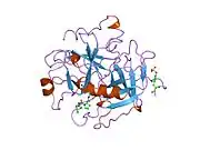 1tom: ALPHA-THROMBIN COMPLEXED WITH HIRUGEN