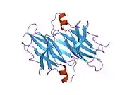 1ttr: TRANSTHYRETIN-V/122/I CARDIOMYOPATHIC MUTANT