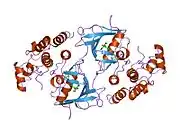 1uwj: THE COMPLEX OF MUTANT V599E B-RAF AND BAY439006