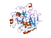 1vzq: COMPLEX OF THROMBIN WITH DESIGNED INHIBITOR 7165