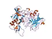 1w50: APO STRUCTURE OF BACE (BETA SECRETASE)