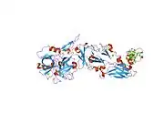 1wtg: Human Factor Viia-Tissue Factor Complexed with ethylsulfonamide-D-biphenylalanine-Gln-p-aminobenzamidine