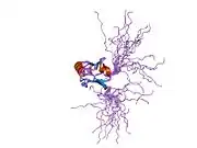 1x6d: Solution structures of the PDZ domain of human Interleukin-16