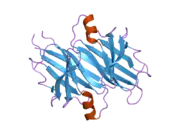 1x7s: The X-ray crystallographic structure of the amyloidogenic variant TTR Tyr78Phe