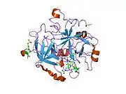 1xm1: Nonbasic Thrombin Inhibitor Complex
