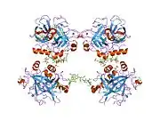 1xmn: Crystal structure of thrombin bound to heparin