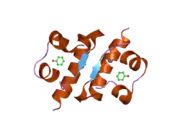 1xw7: Diabetes-Associated Mutations in Human Insulin: Crystal Structure and Photo-Cross-Linking Studies of A-Chain Variant Insulin Wakayama