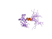 1xwh: NMR structure of the first phd finger of autoimmune regulator protein (AIRE1): insights into apeced