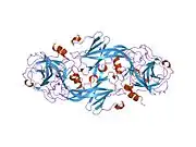 1xxf: Crystal Structure of the FXIa Catalytic Domain in Complex with Ecotin Mutant (EcotinP)