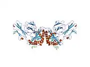 1xz0: Crystal structure of CD1a in complex with a synthetic mycobactin lipopeptide