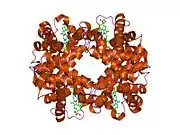 1xz2: wild-type hemoglobin deoxy no-salt