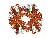 1xz4: Intersubunit Interactions Associated with Tyr42alpha Stabilize the Quaternary-T Tetramer but are not Major Quaternary Constraints in Deoxyhemoglobin: alphaY42A deoxyhemoglobin no-salt