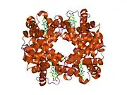 1xzu: T-to-THigh Quaternary Transitions in Human Hemoglobin: alphaD94G deoxy low-salt