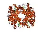 1y0c: T-to-THigh Quaternary Transitions in Human Hemoglobin: alphaY140F deoxy low-salt