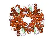 1y4v: T-To-T(High) quaternary transitions in human hemoglobin: betaC93A deoxy low-salt (1 test set)