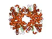 1yev: T-To-T(High) quaternary transitions in human hemoglobin: betaW37E OXY (10 test sets)