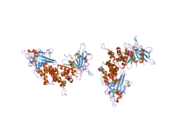 1ygr: Crystal structure of the tandem phosphatase domain of RPTP CD45