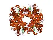 1yhe: T-To-T(High) quaternary transitions in human hemoglobin: HbA OXY (5.0MM IHP, 20% PEG) (10 test sets)