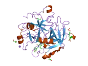 1ype: Thrombin Inhibitor Complex