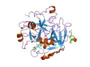 1ypj: Thrombin Inhibitor Complex