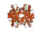 1yvq: The low salt (PEG) crystal structure of CO Hemoglobin E (betaE26K) approaching physiological pH (pH 7.5)