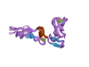 1z6c: Solution structure of an EGF pair (EGF34) from vitamin K-dependent protein S