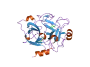 1zhm: Crystal Structure of the Catalytic Domain of the Coagulation Factor XIa in Complex with Benzamidine (S434A-T475A-K437 Mutant)