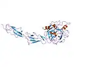 1zjk: Crystal structure of the zymogen catalytic region of human MASP-2
