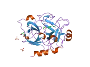 1zmj: Crystal Structure of the Catalytic Domain of Factor XI in complex with 4-(guanidinomethyl)-phenylboronic acid
