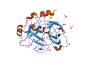 1zml: Crystal Structure of the Catalytic Domain of Factor XI in complex with (R)-1-(4-(4-(hydroxymethyl)-1,3,2-dioxaborolan-2-yl)phenethyl)guanidine