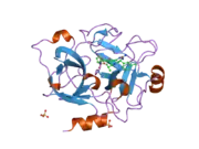 1zpc: Crystal Structure of the Catalytic Domain of Coagulation Factor XI in Complex with 2-[2-(3-Chloro-phenyl)-2-hydroxy-acetylamino]-N-[4-guanidino-1-(thiazole-2-carbonyl)-butyl]-3-methyl-butyramide