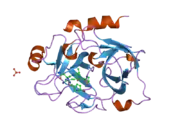 1zpz: Factor XI catalytic domain complexed with N-((R)-1-(4-bromophenyl)ethyl)urea-Asn-Val-Arg-alpha-ketothiazole