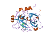 1zsk: Crystal Structure of the Catalytic Domain of Coagulation Factor XI in Complex with 6-Carbamimidoyl-4-(3-hydroxy-2-methyl-benzoylamino)-naphthalene-2-carboxylic acid methyl ester