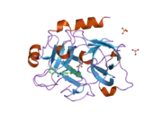 1ztj: Crystal Structure of the Catalytic Domain of Coagulation Factor XI in Complex with 2-(5-Benzylamino-2-methylsulfanyl-6-oxo-6H-pyrimidin-1-yl)-N-[4-guanidino-1-(thiazole-2-carbonyl)-butyl]-acetamide