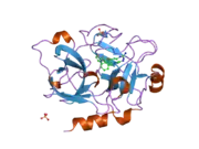 1ztl: Crystal Structure of the Catalytic Domain of Coagulation Factor XI in Complex with N-[4-Guanidino-1-(thiazole-2-carbonyl)-butyl]-2-{6-oxo-5-[(quinolin-8-ylmethyl)-amino]-2-m-tolyl-6H-pyrimidin-1-yl}-acetamide