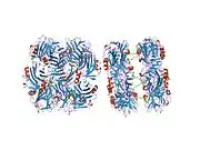 2a3w: Decameric structure of human serum amyloid P-component bound to Bis-1,2-{[(Z)-2-carboxy-2-methyl-1,3-dioxane]-5-yloxycarbamoyl}-ethane