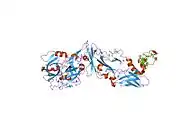 2aer: Crystal Structure of Benzamidine-Factor VIIa/Soluble Tissue Factor complex.