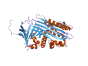 2arr: Human plasminogen activator inhibitor-2.[loop (66-98) deletion mutant] complexed with peptide n-acetyl-teaaagmggvmtgr-oh