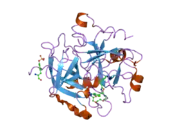 2bvs: HUMAN THROMBIN COMPLEXED WITH FRAGMENT-BASED SMALL MOLECULES OCCUPYING THE S1 POCKET