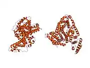 2bxf: HUMAN SERUM ALBUMIN COMPLEXED WITH DIAZEPAM