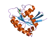 2cld: CRYSTAL STRUCTURE ANALYSIS OF A FLUORESCENT FORM OF H-RAS P21 IN COMPLEX WITH GDP (2)