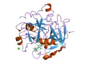 2cn0: COMPLEX OF RECOMBINANT HUMAN THROMBIN WITH A DESIGNED INHIBITOR