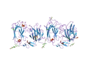 2e26: Crystal structure of two repeat fragment of reelin