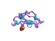 2jgw: STRUCTURE OF CCP MODULE 7 OF COMPLEMENT FACTOR H - THE AMD AT RISK VARIENT (402H)