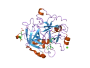 2jh0: HUMAN THROMBIN HIRUGEN INHIBITOR COMPLEX.