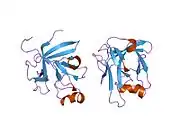 2p23: Crystal structure of human FGF19