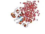 3ins: STRUCTURE OF INSULIN. RESULTS OF JOINT NEUTRON AND X-RAY REFINEMENT