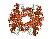 6hbw: Crystal structure of deoxy-human hemoglobin beta6 glu->trp